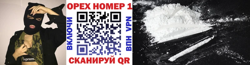 дарк нет какой сайт  купить наркотики сайты  ОМГ ОМГ рабочий сайт  Игарка  Cocaine Fish Scale 