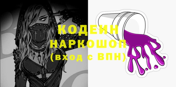 шишки Бородино