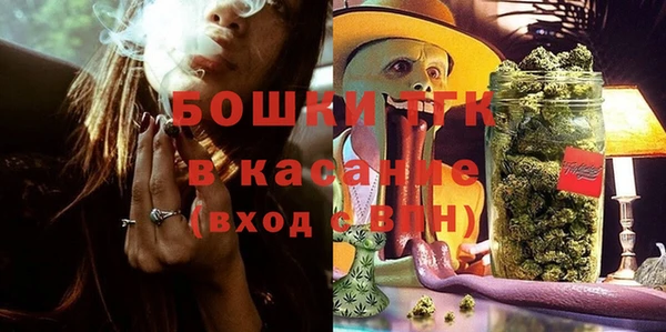 спайс Богданович